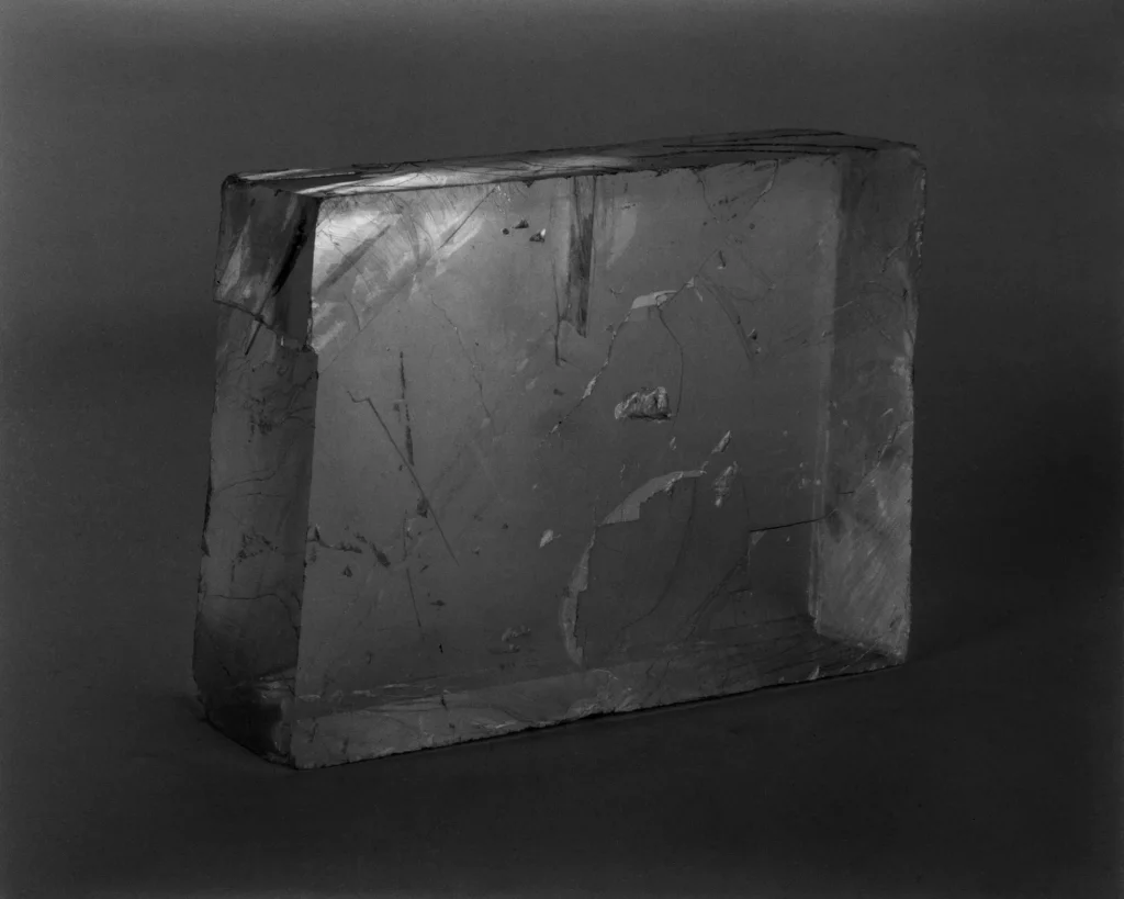 immagine per la mostra: Le pietre dormono all’aperto, Carlotta Valente. Museo di Storia Naturale La Specola, Firenze