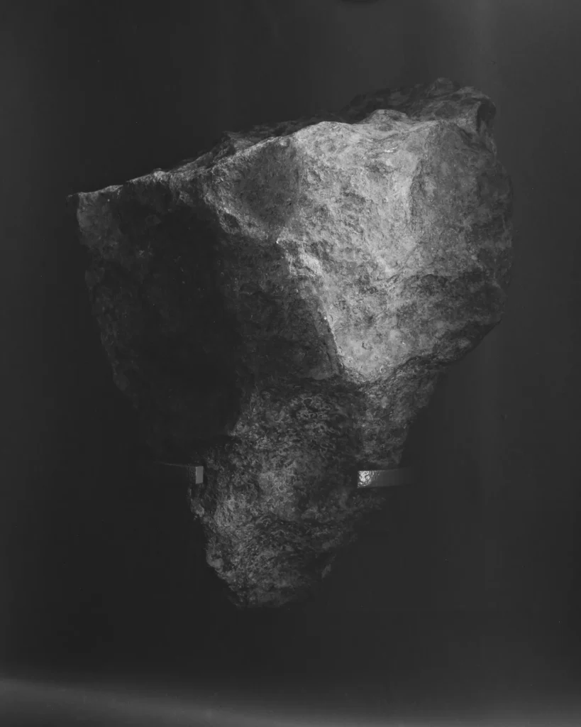 immagine per la mostra: Le pietre dormono all’aperto, Carlotta Valente. Museo di Storia Naturale La Specola, Firenze