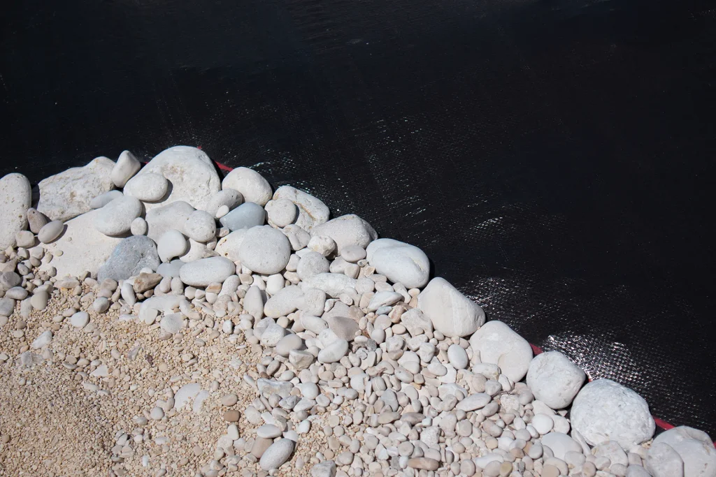immagine per Dettaglio dell'installazione The Hunt