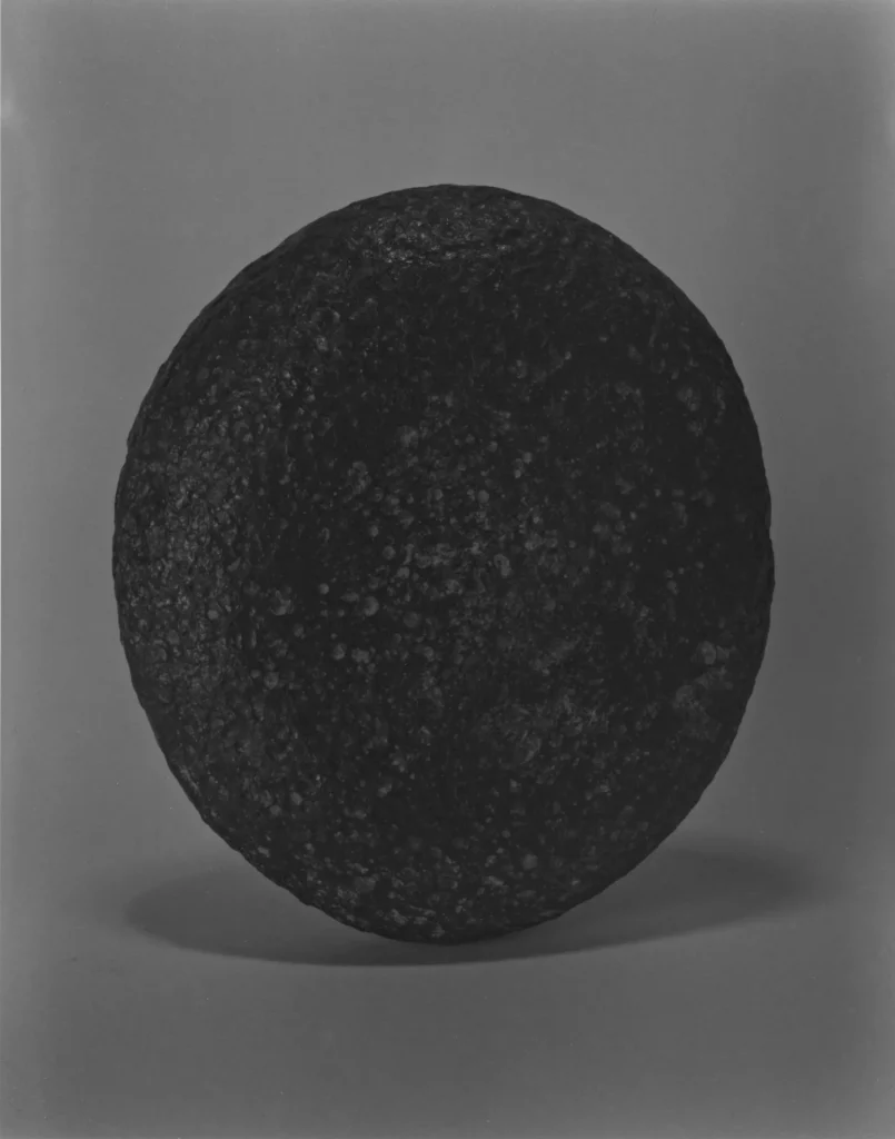 immagine per la mostra: Le pietre dormono all’aperto, Carlotta Valente. Museo di Storia Naturale La Specola, Firenze