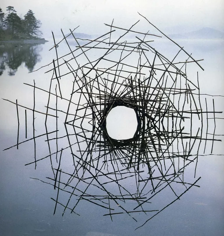 immagine per Andy Goldsworthy. Ramoscelli High Bentham Yorkshire. Regno Unito Ph. Andy Goldsworthy