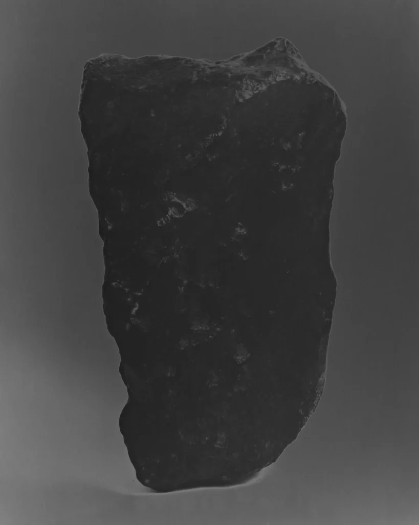 immagine per la mostra: Le pietre dormono all’aperto, Carlotta Valente. Museo di Storia Naturale La Specola, Firenze