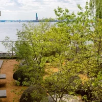 immagine per Goldsworthy. Garden of stone - New York 2017