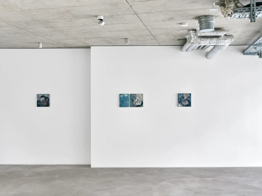 immagine per Nika Kutateladze, Acacia Bloom, installation view. Courtesy the artist and Galerie Molitor, Berlin. Photo by Choreo.