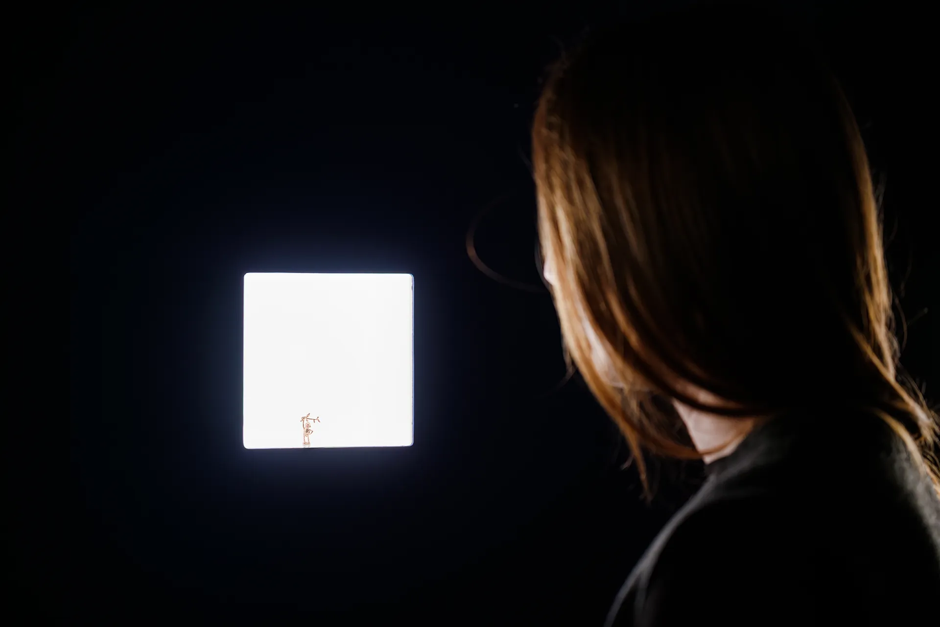 immagine per Carlos Motta, Pleas of Resistance exhibition view, 2026, Ok Linz, Austria
