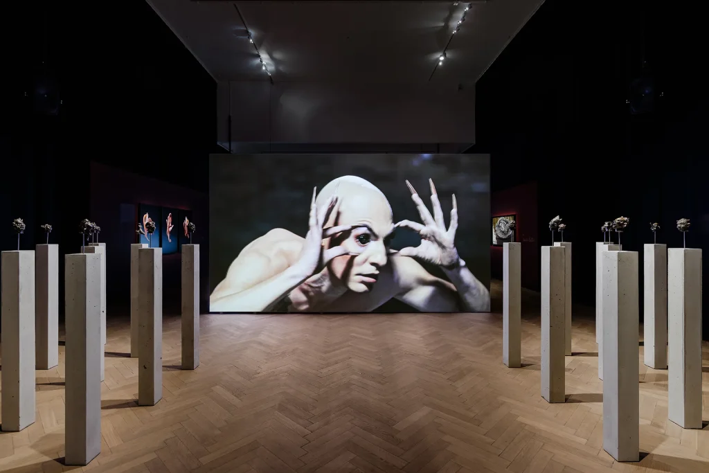 immagine per Carlos Motta, We, The Enemy, 2019