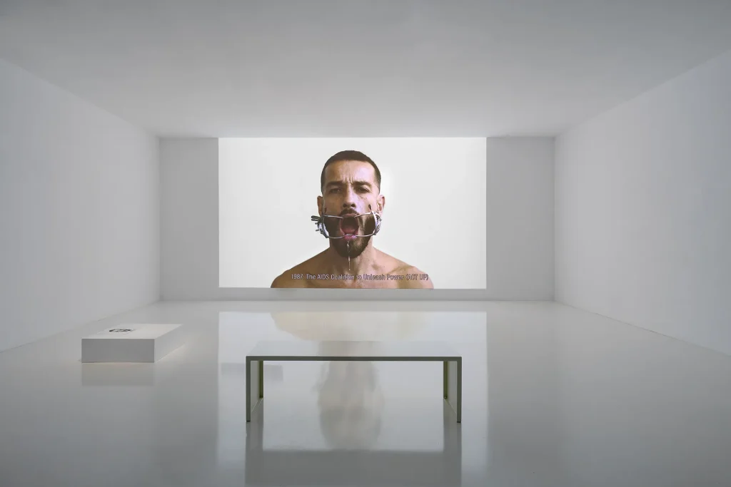 immagine per Carlos Motta, Legacy, 2019