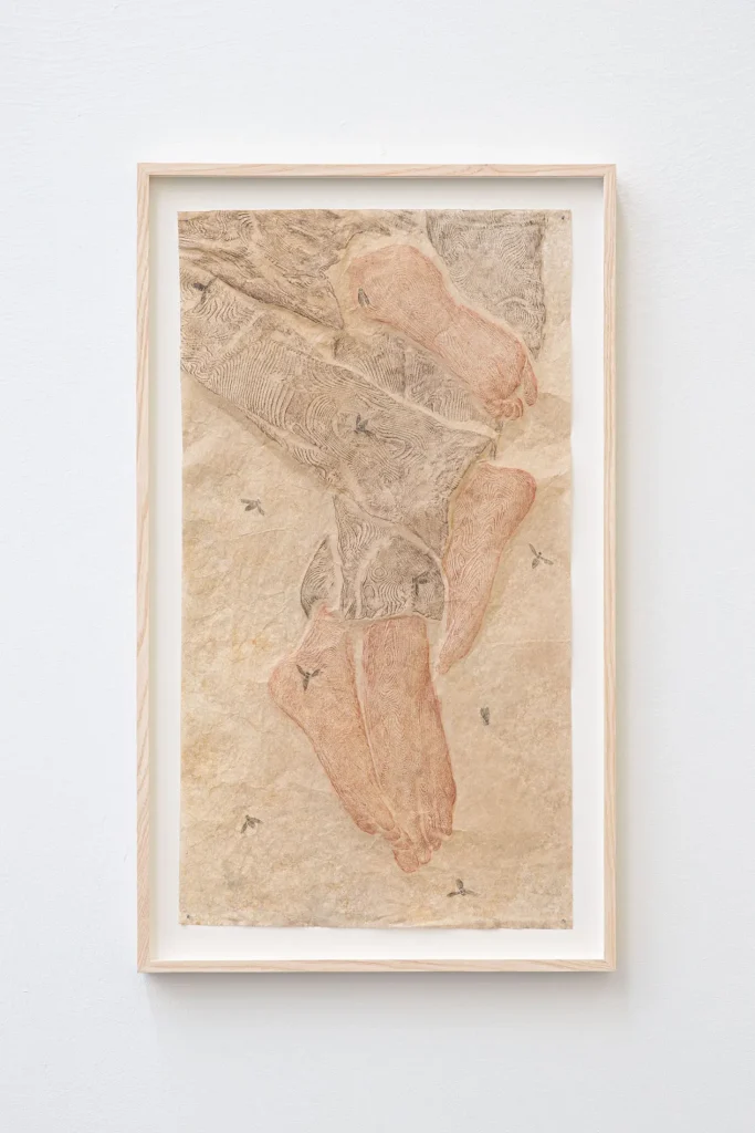 immagine per Veduta della mostra Charles Degeyter / Life in Cold Blood, 2026 © Babette Van Rafelghem / Per gentile concessione dell'artista e di TATJANA PIETERS, Ghent (BE)