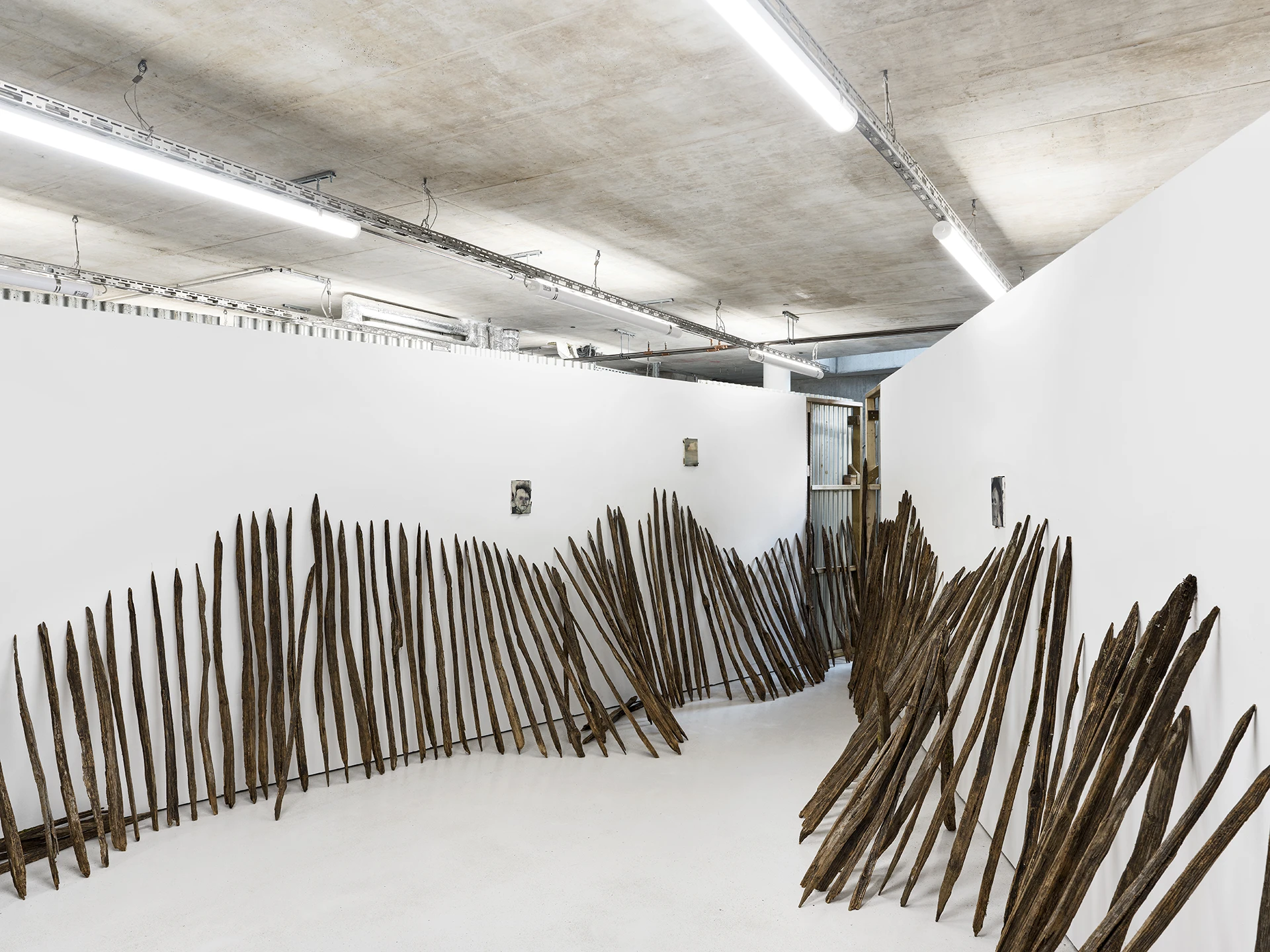immagine per Nika Kutateladze, Acacia Bloom, installation view. Courtesy the artist and Galerie Molitor, Berlin. Photo by Choreo.