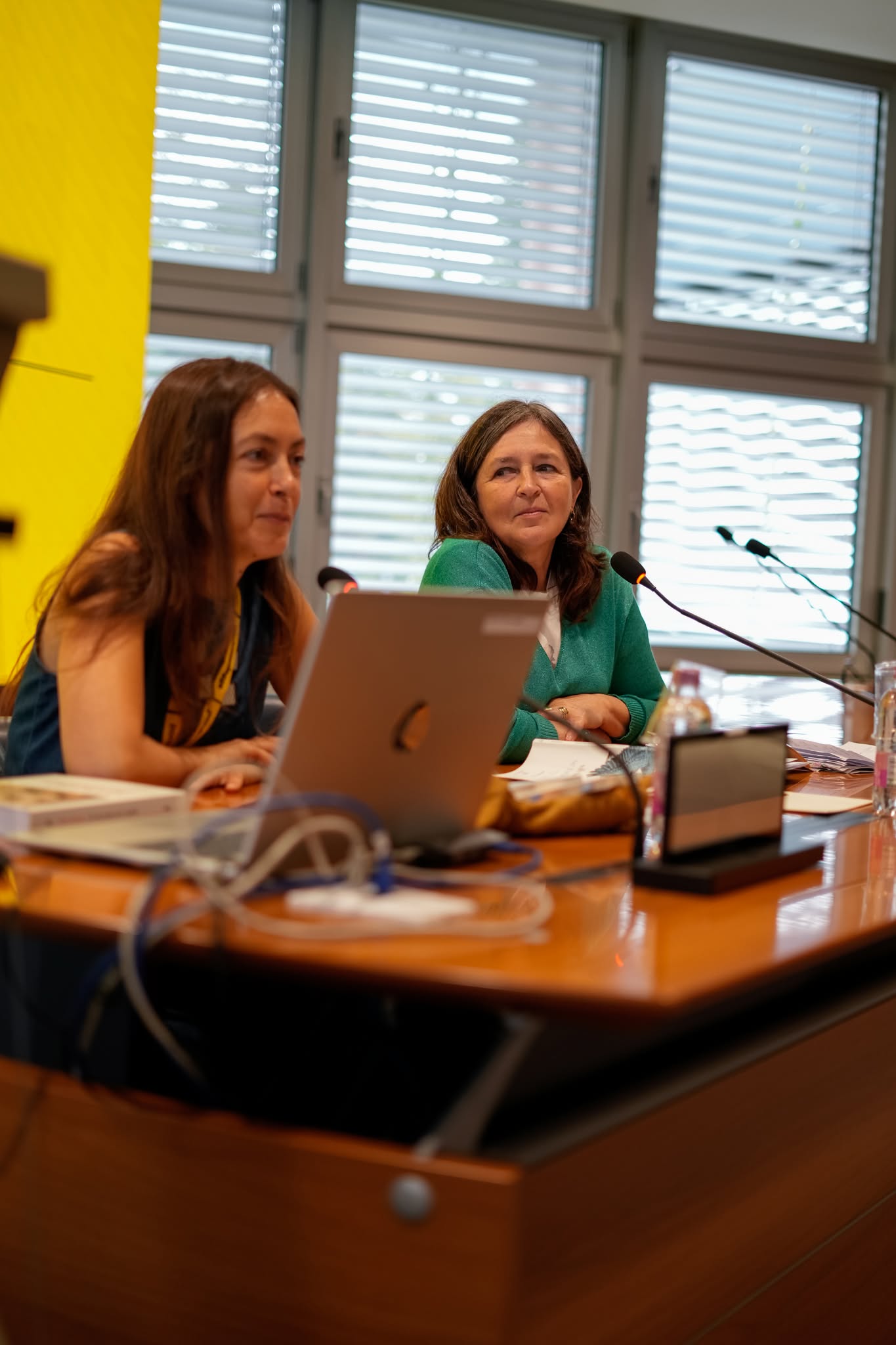immagine per Silvia Vecchini e Beatrice Masini. Pordenonelegge 2026