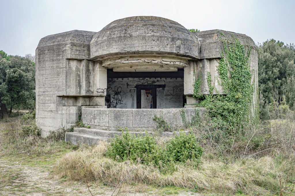 immagine per Anton Giulio Onofri - Pallestrina isola sottile