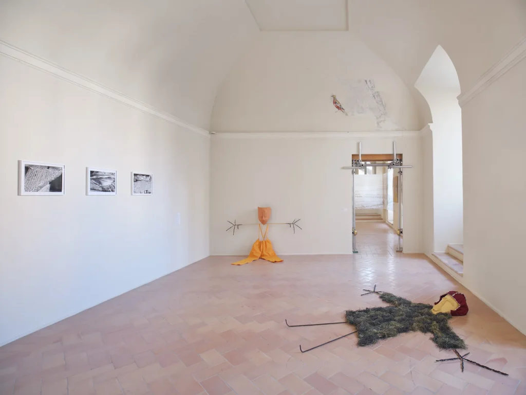 immagine per Veduta della mostra Il campo espanso. Arte e agricoltura in Italia dagli anni Sessanta ad oggi, a cura di Simone Ciglia, Palazzo Collicola, Spoleto, 23 marzo–8 giugno 2025. Opere di (da sinistra verso destra): Mario Giacomelli, Riccardo Baruzzi. Foto Giuliano Vaccai
