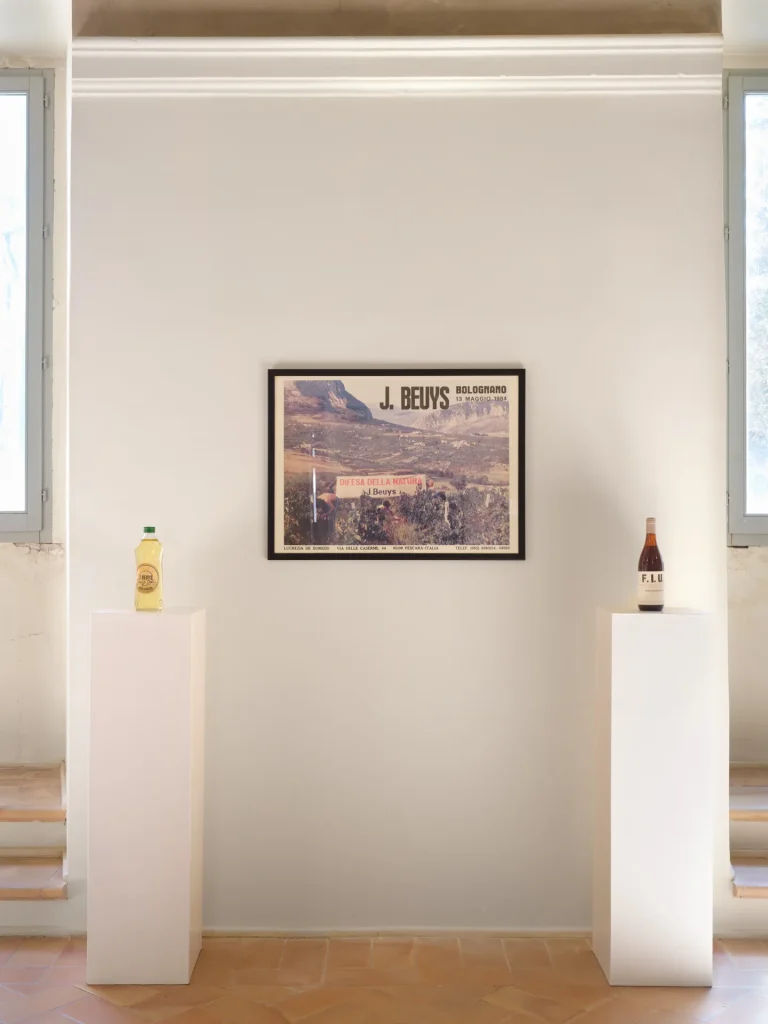 immagine per Veduta della mostra Il campo espanso. Arte e agricoltura in Italia dagli anni Sessanta ad oggi, a cura di Simone Ciglia, Palazzo Collicola, Spoleto, 23 marzo–8 giugno 2025. Opere di Joseph Beuys. Foto Giuliano Vaccai