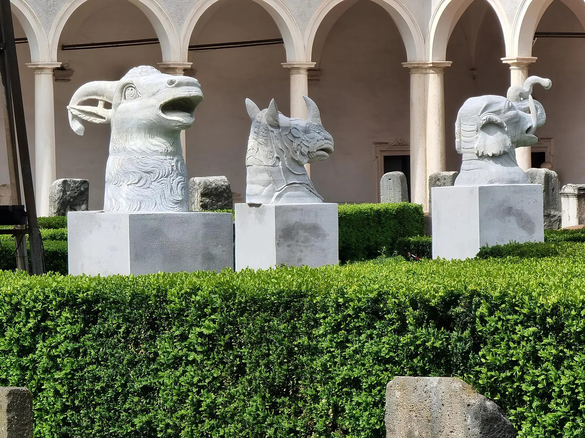 immagine per Lo zoo di marmo. Chiostro di Michelangelo Terme di Diocleziano - Museo Nazionale Romano. ph Fabio Caricchia, Soprintendenza Speciale di Roma