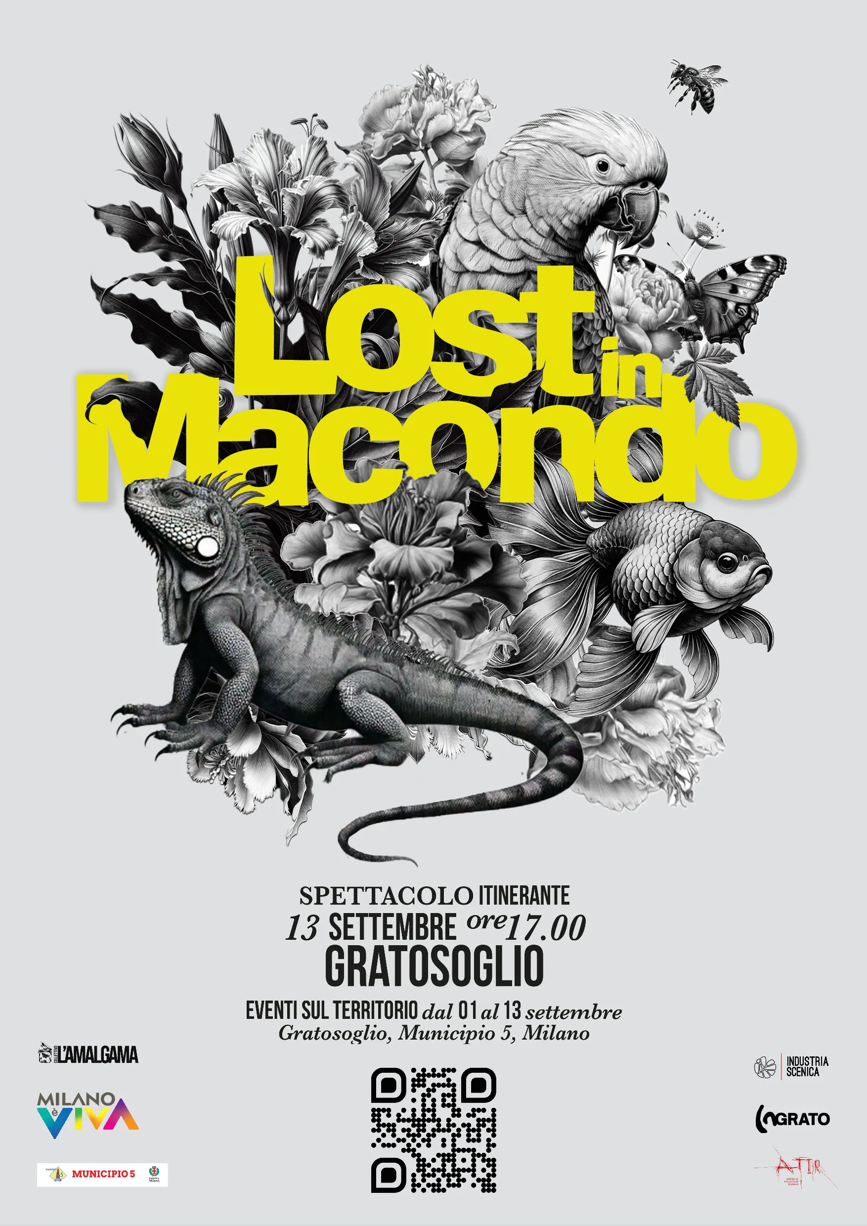 immagine per Lost in Macondo