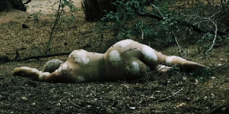 immagine per Festival Danza Urbana