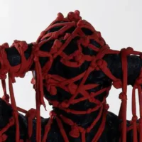 immagine per Martinez I Diari Cigno Nero