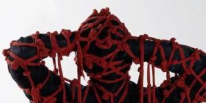 immagine per Martinez I Diari Cigno Nero