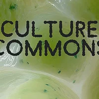 immagine per Culture Commons Forum