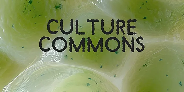 immagine per Culture Commons Forum