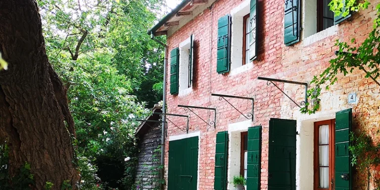 immagine per Festa della Poesia XI edizione, sotto i gelsi di Parise