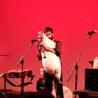 immagine per Mater Nullius. Il concerto ancestrale, il rito collettivo di Davide Ambrogio