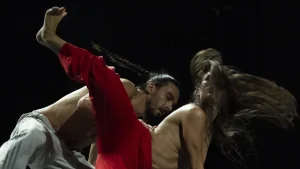 immagine per NID Platform 2026 #1. Coreografie del possibile tra palco e comunità
