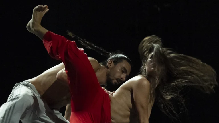 immagine per NID Platform 2026 #1. Coreografie del possibile tra palco e comunità