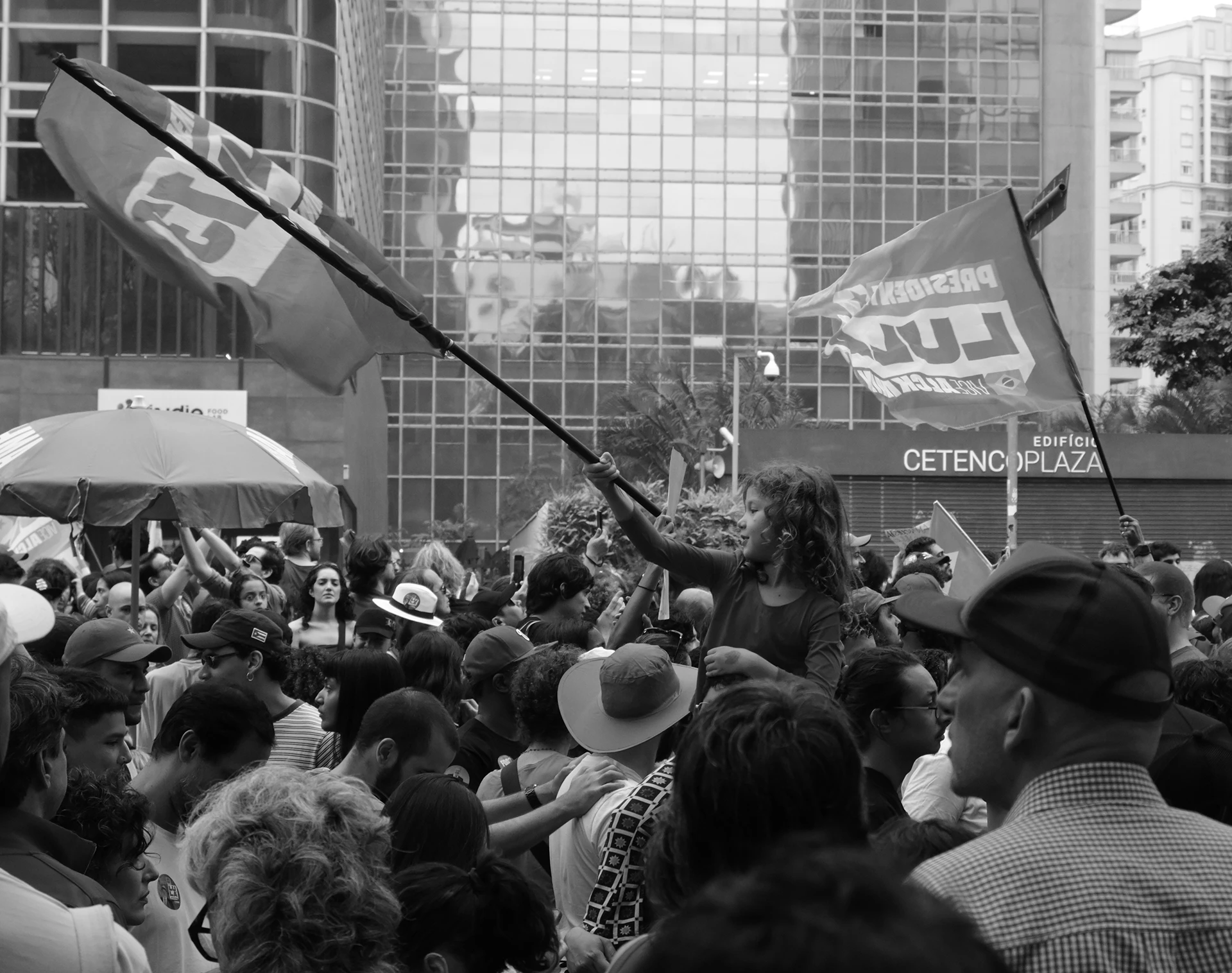 immagine per O Ato de Olhar (The Act of Looking). Neil Wildin - Above the Crowd