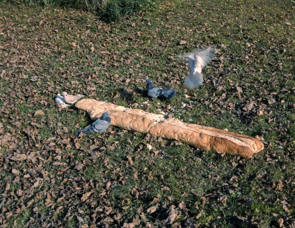 immagine per Giuseppe Penone Pane alfabeto 1969 acciaio, pane - 12 × 266 × 35 cm circa Collezione privata foto Paolo Pellion © Archivio Penone