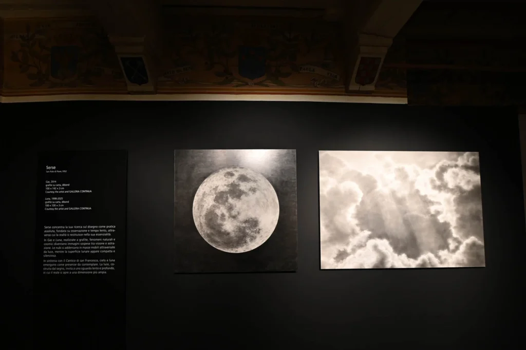 immagine per Mostra San Francesco nostro contemporaneo