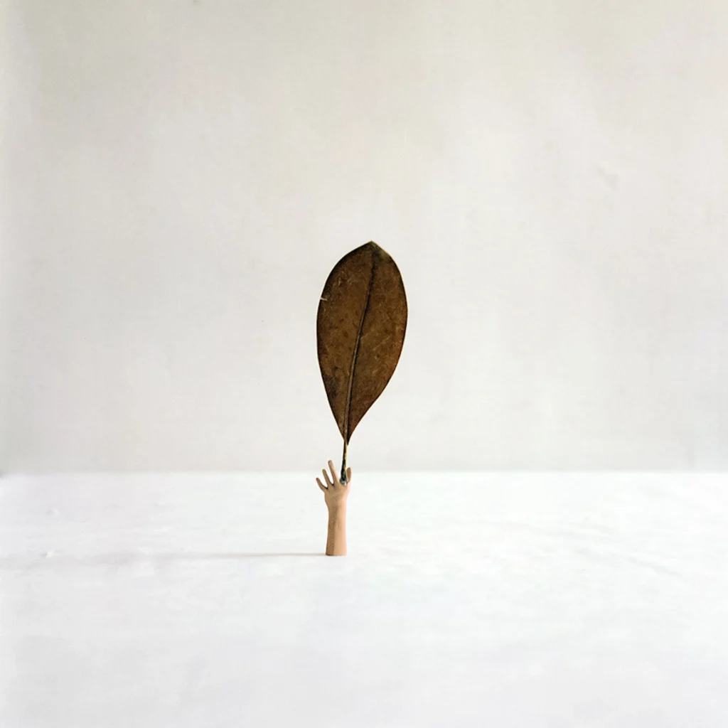 immagine per Eva Frapiccini, Untitled dalla serie Punto di stacco (The takeoff), 2025