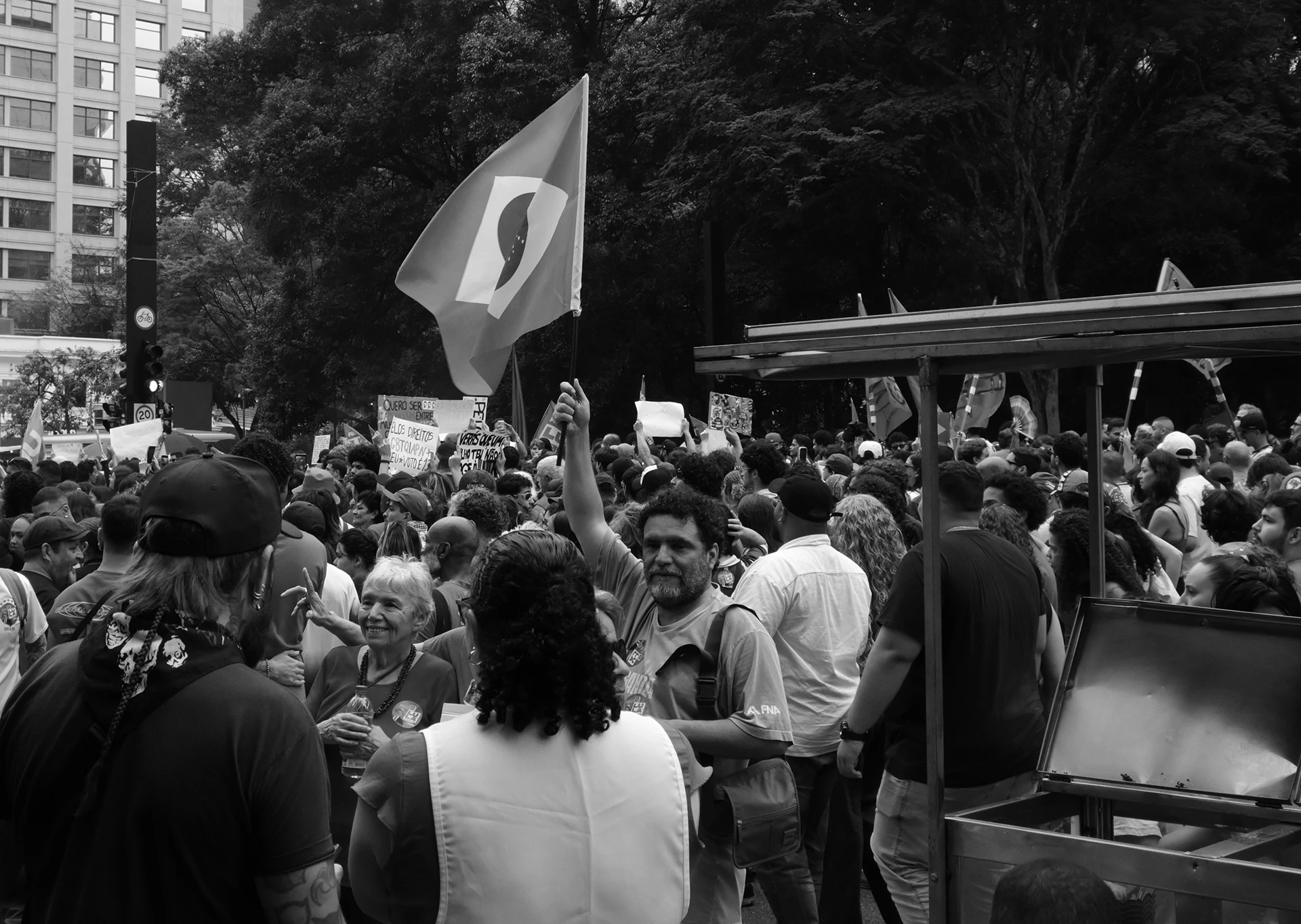 immagine per O Ato de Olhar (The Act of Looking). Neil Wildin - Beneath the Flags