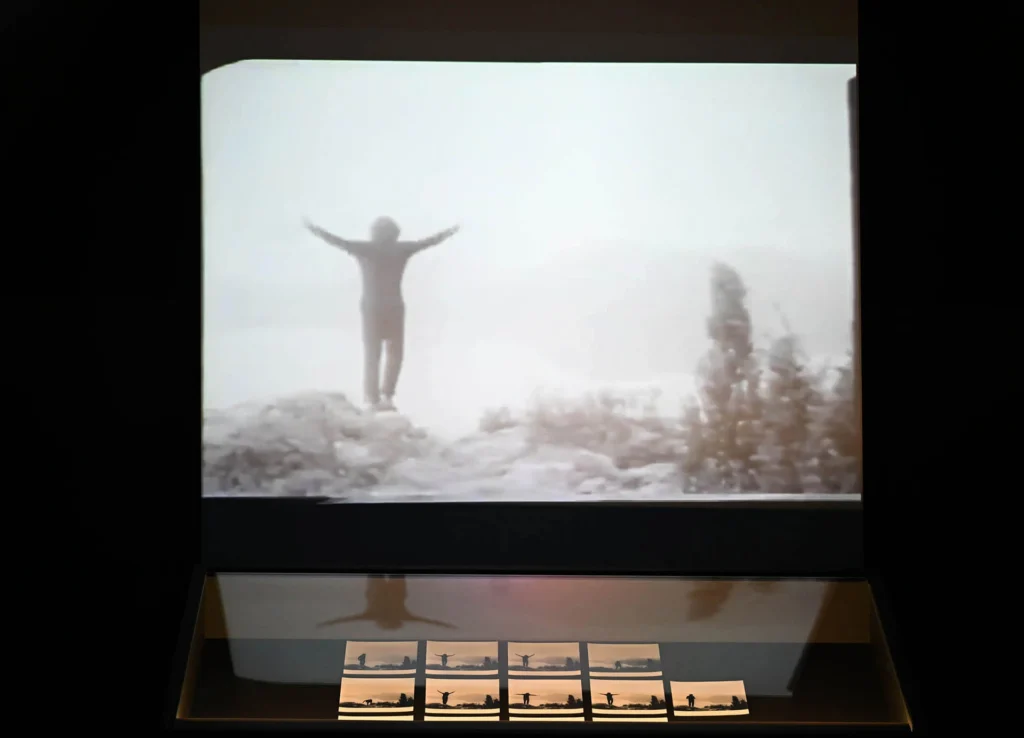 immagine per Mostra San Francesco nostro contemporaneo