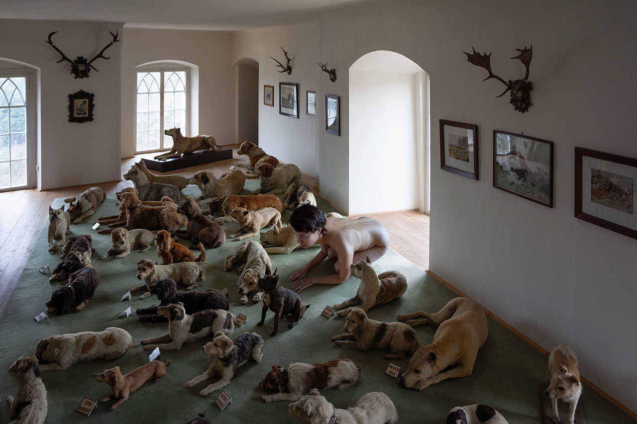 immagine per Jana Kasalová, L'animale che dunque sono