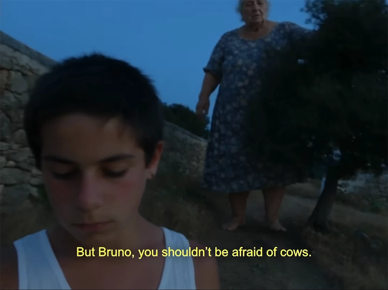 Immagine per Bruno che passeggia insieme alla nonna gigante, Lèo Cannone, Instagram
