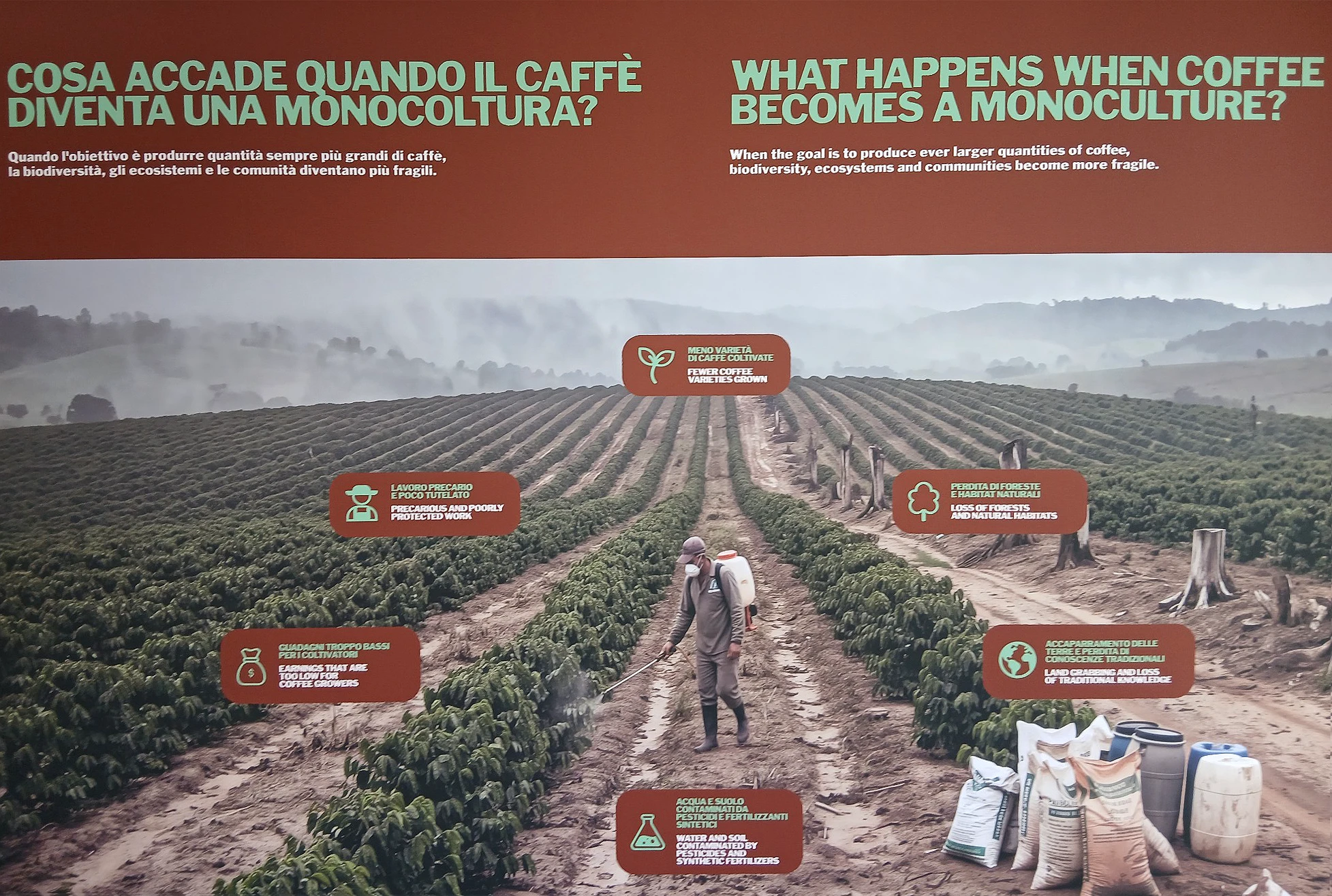 immagine per Gli stand di Terra Madre Salone del Gusto lungo via Roma, nel centro di Torino. Foto di Lorenzo Dolfi