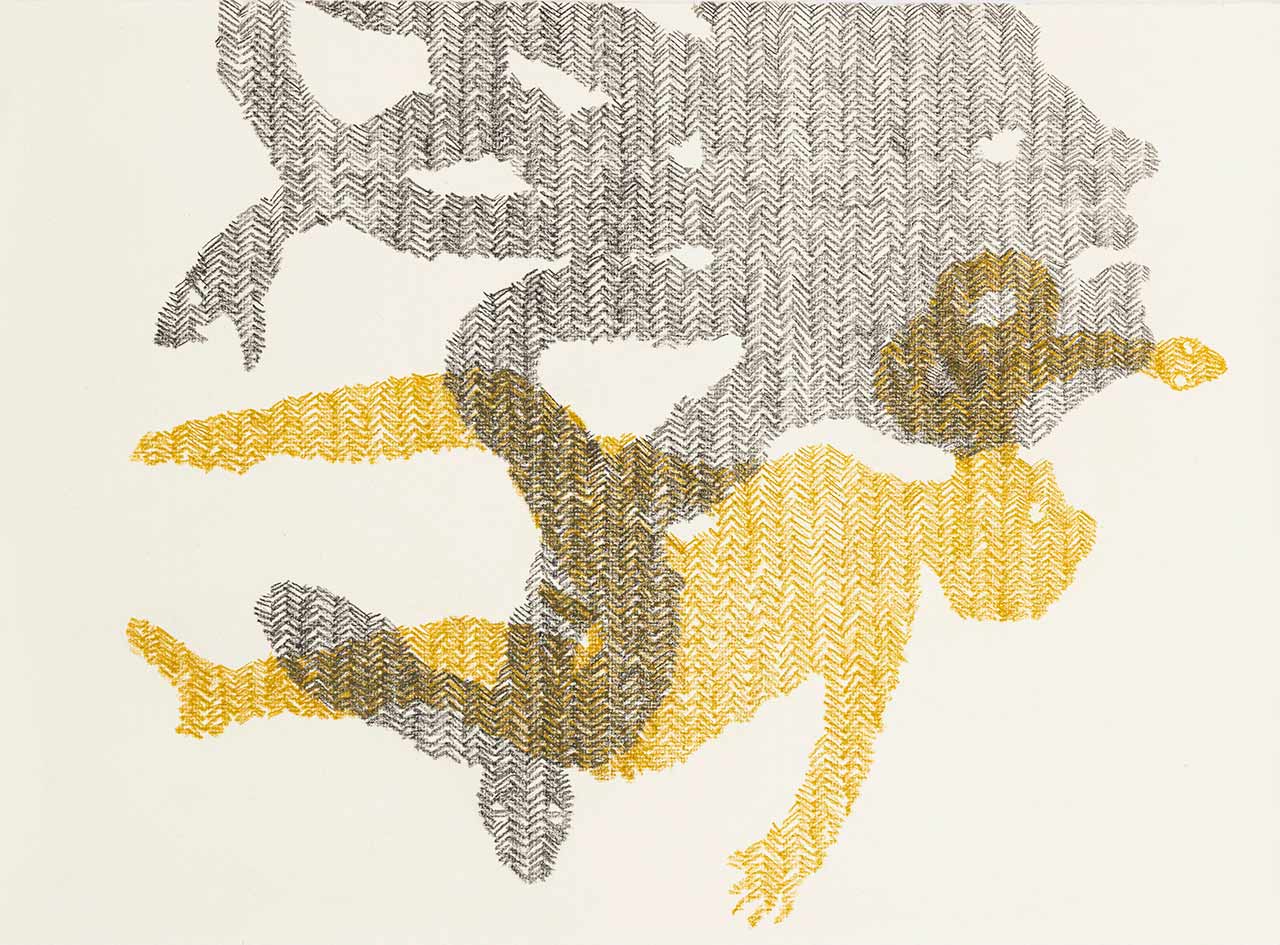 immagine per Losi The Drawing Hall