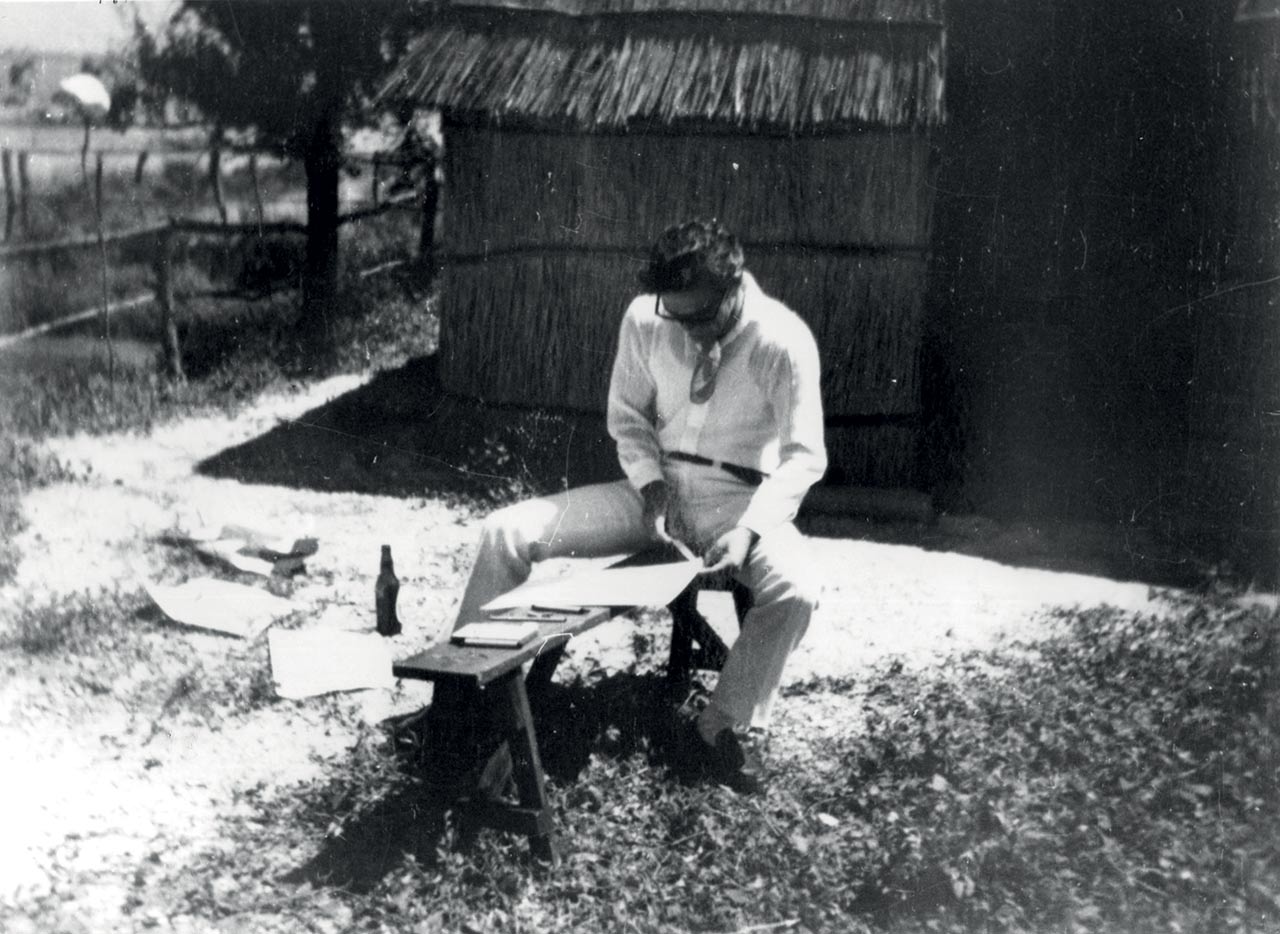 immagine per Giuseppe Zigaina, Pier Paolo Pasolini disegna
