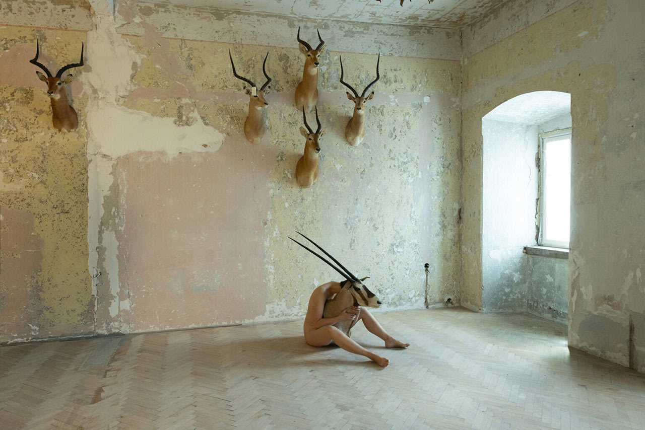 immagine per Jana Kasalová, L'animale che dunque sono