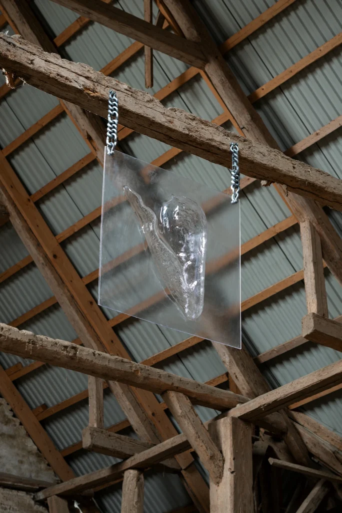 immagine per Nanna Starck - The Jewel Box, Kunsthal Thy, 2026 - photo Jacob Friis-Holm Nielsen