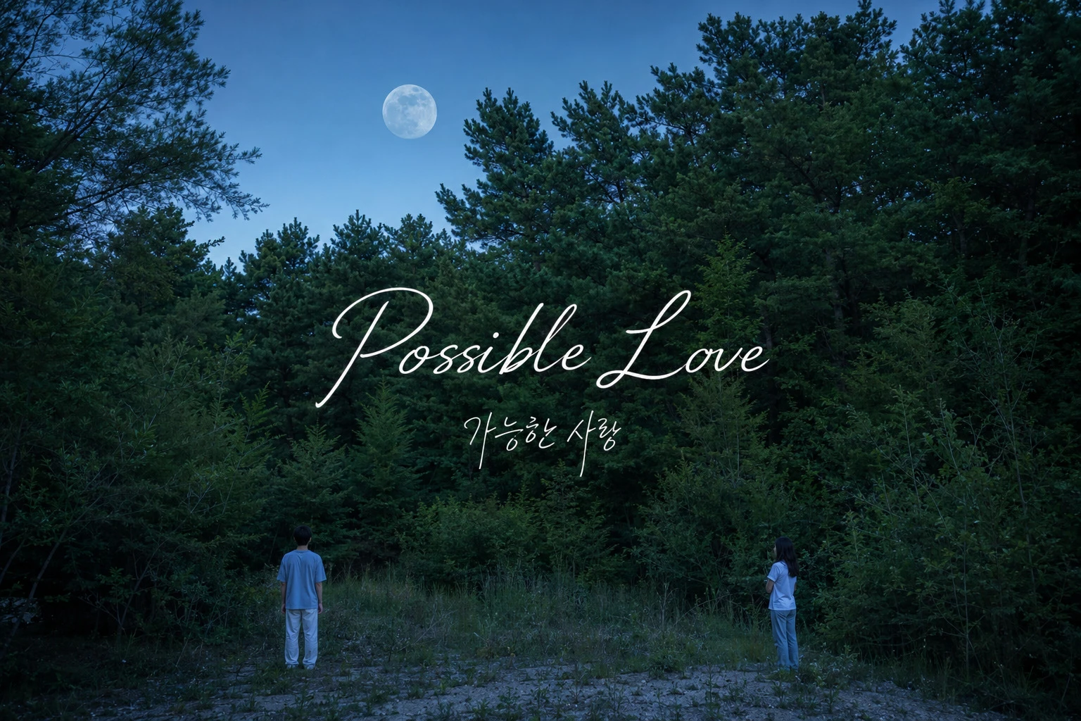 immagine per Possible Love di Lee Chang-dong
