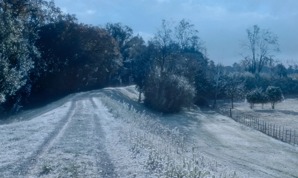 immagine per Riverrun Photogramme (2026) directed by Philippe Parreno © 100 Questions Productions LLC