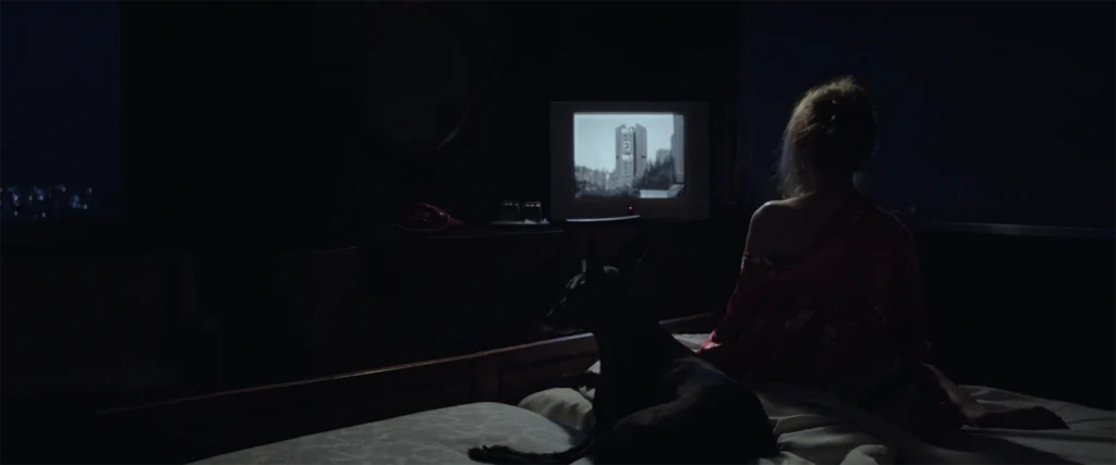 immagine per frame UBI SUNT II (2017) Courtesy Salomé Lamas