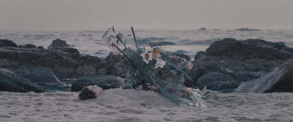 immagine per frame UBI SUNT II (2017) Courtesy Salomé Lamas