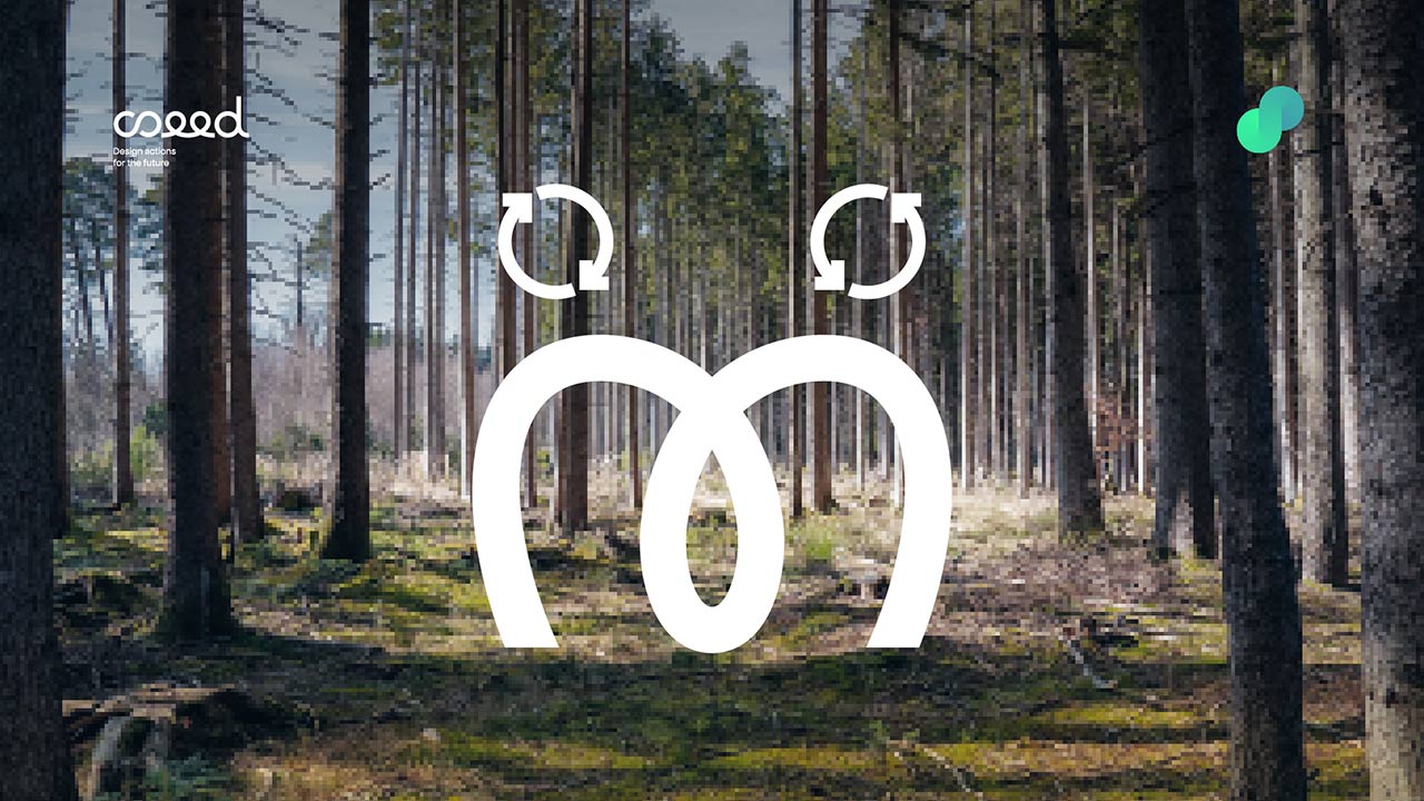 immagine per Seed festival 2026