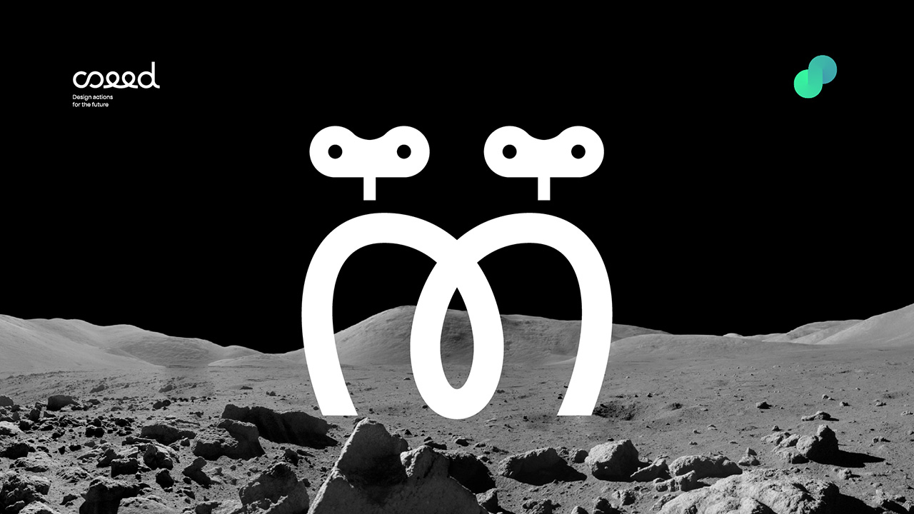 immagine per Seed festival 2026