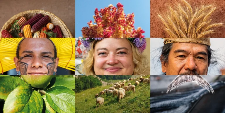 immagine per Radici in movimento. Territori, culture e saperi a Terra Madre