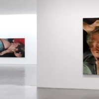immagine per Joseph Yaeger. Il pervertimento del ricordo. Da Gladstone Gallery a New York