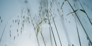 immagine per KOMOCO / Watch "CHORA a dance film" by Sofia Nappi, now on-line and free